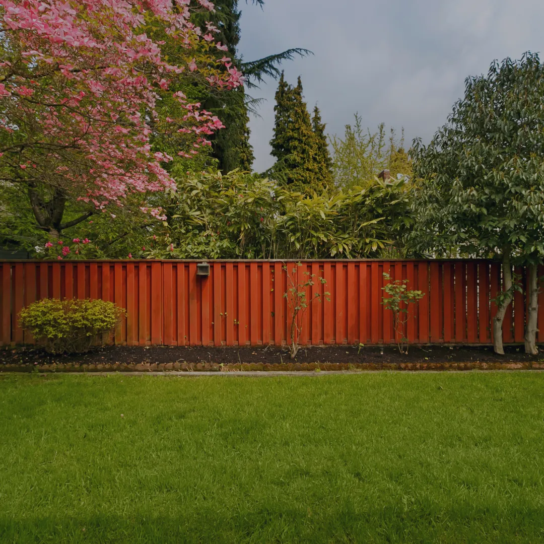Wood fence staining preparation and application